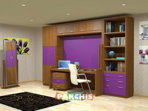 estudios-y-camas-abatibles-en-malasana-como-tener-un-despacho-y-una-cama-doble-en-el-mismo-espacio